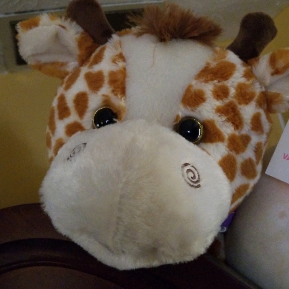 Meet your Posher, Vmichelle